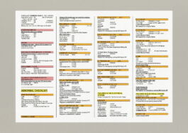 Madeleine Elisabeth Peccoux